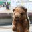 まるのアイコン