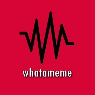 whatamemee's profile picture. Facebook: @ whatamemee |
Insta: @ whatameme1