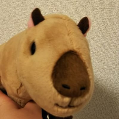 いちごカピバラ大福さんのプロフィール画像