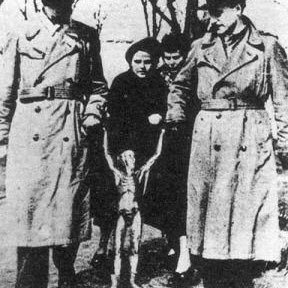 捕獲された宇宙人さんのプロフィール画像