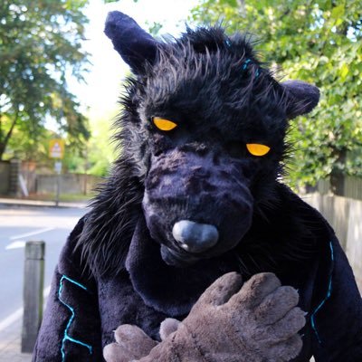 A possessed wolf, fighting his inner demon. Coder, writer, fursuiter. @DragonNargus (husband). @LondonFurs staff. SFW. He/him/wolf. 🏳️‍🌈