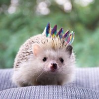 Ten Tiny Tweets (@tentinytweets) 's Twitter Profile Photo Ten Tiny Tweets (@tentinytweets) 's Twitter Profile Photo