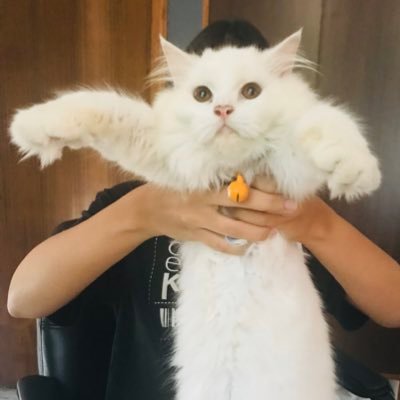 meharkathuria's profile picture. Huge fan of space both outer and personal