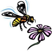 Feed The Bees (@feedthebees) 's Twitter Profile
