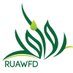 SFD-YouthinDevelopment (@ruawfd_yemen) Twitter profile photo SFD-YouthinDevelopment (@ruawfd_yemen) Twitter profile photo