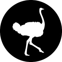 Flying Ostrich Media, Inc. (@flyostmedia) 's Twitter Profile