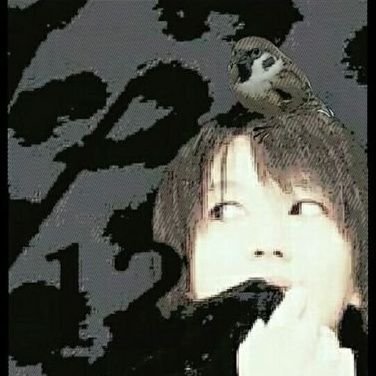 くろねこ。猫/小鳥/L'Arc~en~Ciel/MUCC/Plastic Tree/歌、ベース、ギターを少々/予定→/出演→#Pococha にて配信中