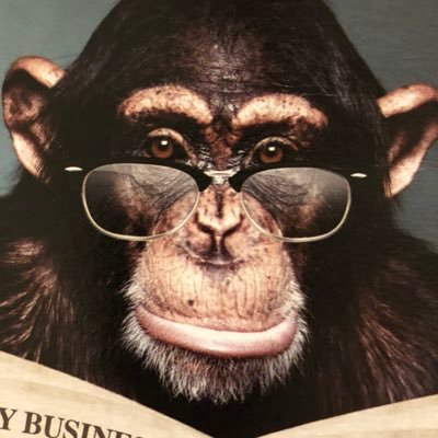 ChimpInvestment Profile Picture