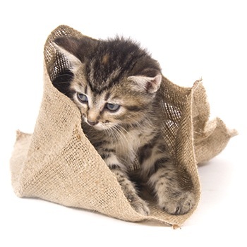 e_Aki's profile picture. ♪好きなアーティスト ｢ZARD(坂井泉水)｣｢X JAPAN｣｢hide｣｢岡本真夜｣「倉木麻衣」「家入レオ」「美元智衣」「諫山実生」｢上木彩矢｣「moumoon」etc... mixi⇔Twitter連携終了したんですねぇ.. ※ビジネス系等は興味ないのでブロックしますね。