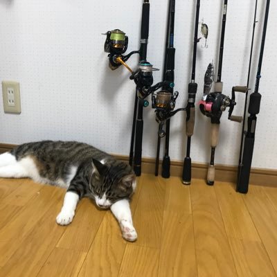 かいとさんのプロフィール画像