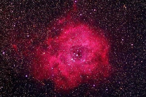 barazou's profile picture. 学校法人 逆恨み学園 教頭(体罰アンバサダー)