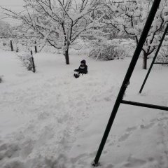 Wings_ofDesire's profile picture. 