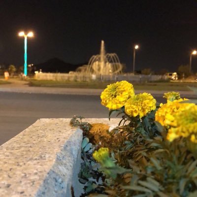 ENGmohammad511's profile picture. 