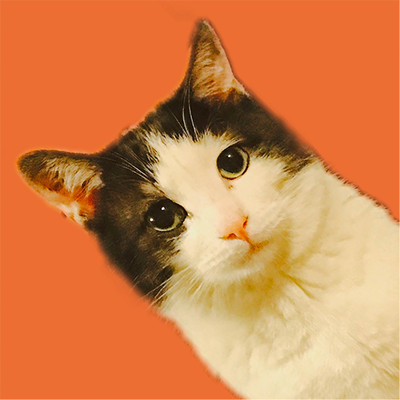 Genkokuさんのプロフィール画像