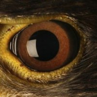 Servando Ob (@servandoob) 's Twitter Profile Photo Servando Ob (@servandoob) 's Twitter Profile Photo