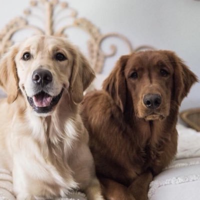 Chivo869's profile picture. 