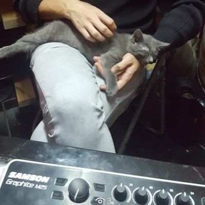 Amo la buena mesa, la música y los gatos
No hago DM ni pesco a los bots.
Si no le agrado no pierda su tiempo y hágame el favor de bloquearme.