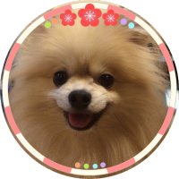 🌺さたぱんびん🌺 (@galacticcccc) 's Twitter Profile Photo 🌺さたぱんびん🌺 (@galacticcccc) 's Twitter Profile Photo