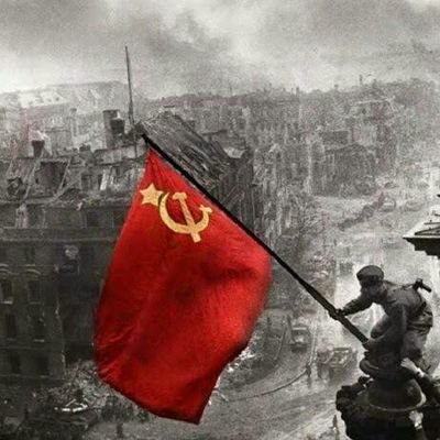 cemresuphi's profile picture. 