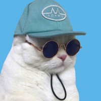 みかりん (@vanimkrn) 's Twitter Profile