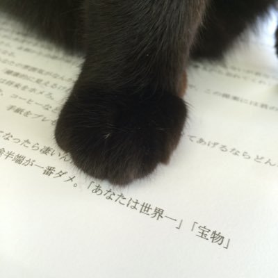 太平洋 オホーツク カラフトマス アキアジ サクラマス ブッコミ ウキルアー フカセ 垂らし 色々やります / ヒグマと蜂が怖い/頚椎症/無言フォローOK!