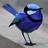 772461's profile image