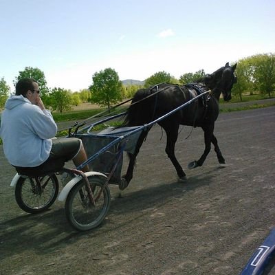 [McGill University Alumni] [Former Professional Football Player] [Personal Trainer] [ Harness Racing ] [Follow on instagram @bigg_tim50]