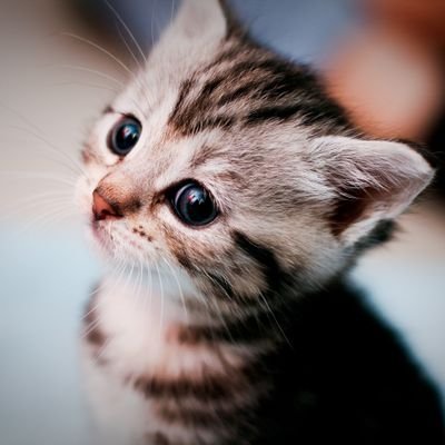 Otabnk48Pmn's profile picture. 