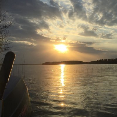 cicci95618572's profile picture. Började med aktier vid 48 år jäklar så roligt, skulle kommit på det tidigare bara. ”Learning by doing”