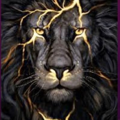 ecker_bball's profile picture. 