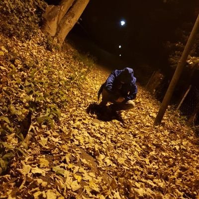 KorbiKollmer's profile picture. PC Gamer || German || Battlefield, PUBG, CoD, GTA5 and more! :D || Twitch: https://t.co/aH8cwkAel6