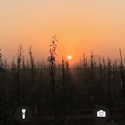 Codinaxevi's profile picture. 🐄🐄🐄🐄