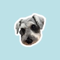 みさわ みのり (@minmin21216) 's Twitter Profile