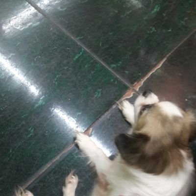 cc_rambi's profile picture. +19 | she/her | Im just here for the fanart and fanfics 🔥🔥 | Minor 🔞 DNI | rt nfsw