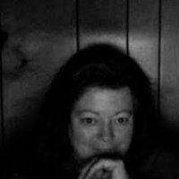 Sue Duff (@wolvie58) 's Twitter Profile
