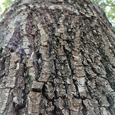 siulleugim1988's profile picture. pana serio, nada de cuerpo escultural con ganas de conocer y si sale algo mas.... mejor