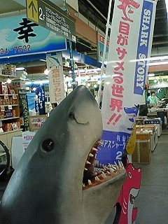 福島県中通り→岩手県内陸部→杜の都に単身赴任生活･OnTheLocks･マンガ･アニメ･スポーツ全般･ミステリー＆ノンフィクション･天然パーマ・長湯･緩くオタ活･👻🧸