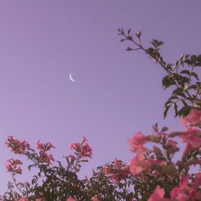 ☺️さんのプロフィール画像