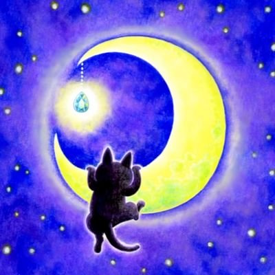 るな がと 保護猫活動支援アクセサリー販売 Lunagatomofuly Twitter
