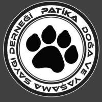 patikadernek(@patikadernek1) 's Twitter Profile Photo