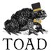 TOAD Cambridge (@toadcambridge) Twitter profile photo TOAD Cambridge (@toadcambridge) Twitter profile photo