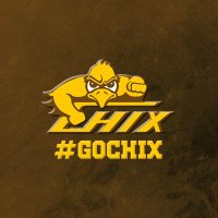 Zeeland East Sports (@chixsports) 's Twitter Profile