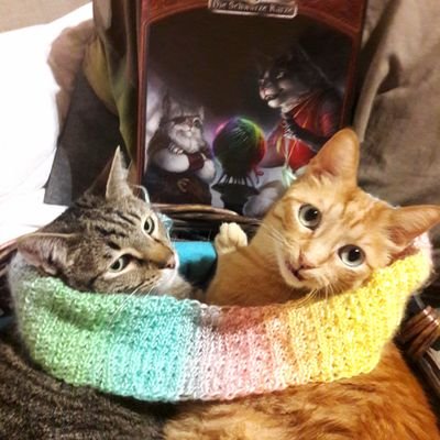 Schirakis RPGsさんのプロフィール画像
