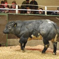 Darlington Mart (@darlingtonmart) 's Twitter Profile