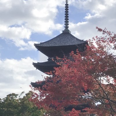 StudySupport13's profile picture. Miyakyoの勉強垢