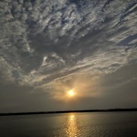 ابن العز (@n7uuacse7leuhf0) 's Twitter Profile