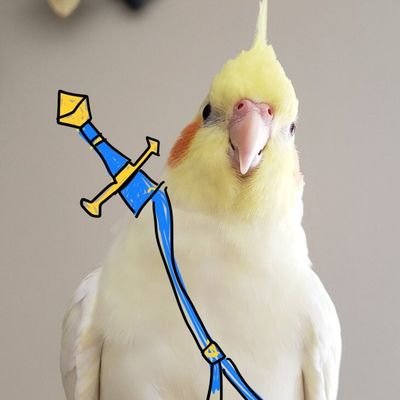 pikachu cockatiel