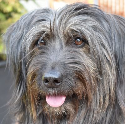 Marnau581's profile picture. 