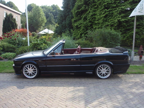 Melt6Down's profile picture. 