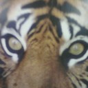 Rodney Bloom - @newsjunkie201 - Twitter